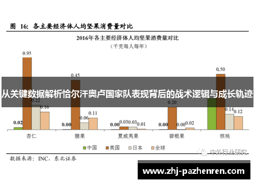 从关键数据解析恰尔汗奥卢国家队表现背后的战术逻辑与成长轨迹 从关键数据解析恰尔汗奥卢国家队表现背后的战术逻辑与成长轨迹