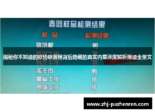 揭秘你不知道的欧协联赛程背后隐藏的真实内幕深度解析报道全景文 揭秘你不知道的欧协联赛程背后隐藏的真实内幕深度解析报道全景文