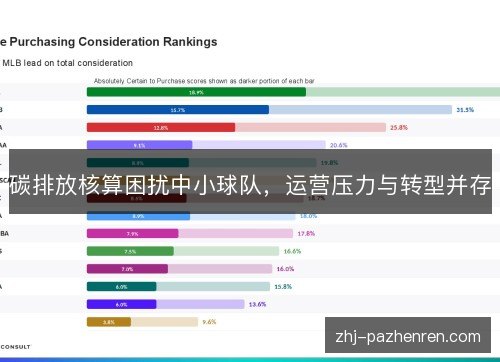 碳排放核算困扰中小球队,运营压力与转型并存 碳排放核算困扰中小球队,运营压力与转型并存